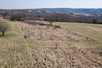 Działka Sprzedaż Lubenia