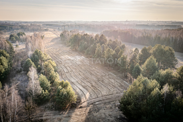 Działka Sprzedaż Wola Raniżowska 1
