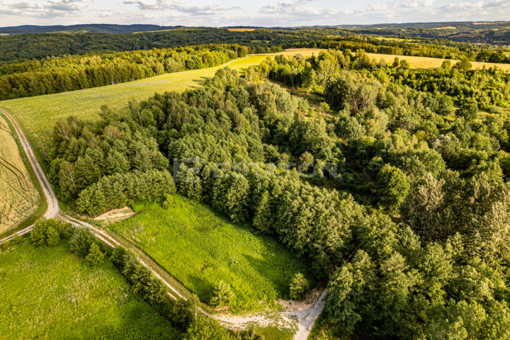 Działka Sprzedaż Nowy Borek 2
