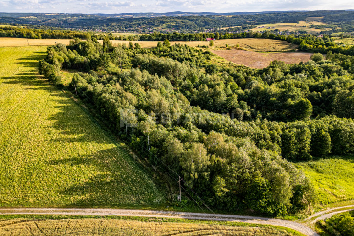 Działka Sprzedaż Nowy Borek 3
