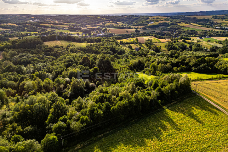Działka Sprzedaż Nowy Borek 4