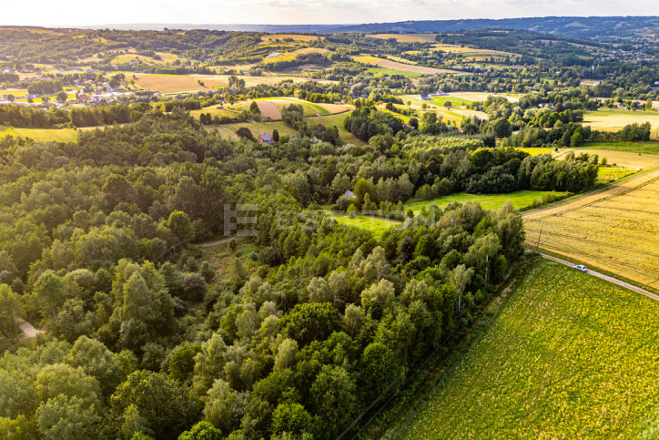 Działka Sprzedaż Nowy Borek 5