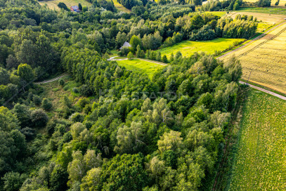 Działka Sprzedaż Nowy Borek