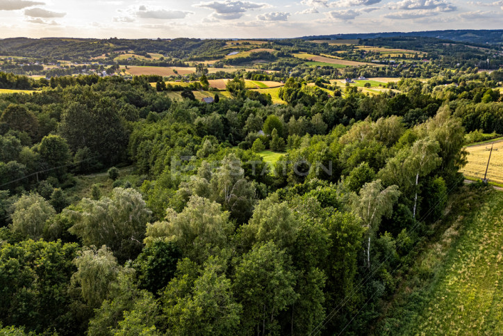 Działka Sprzedaż Nowy Borek 7