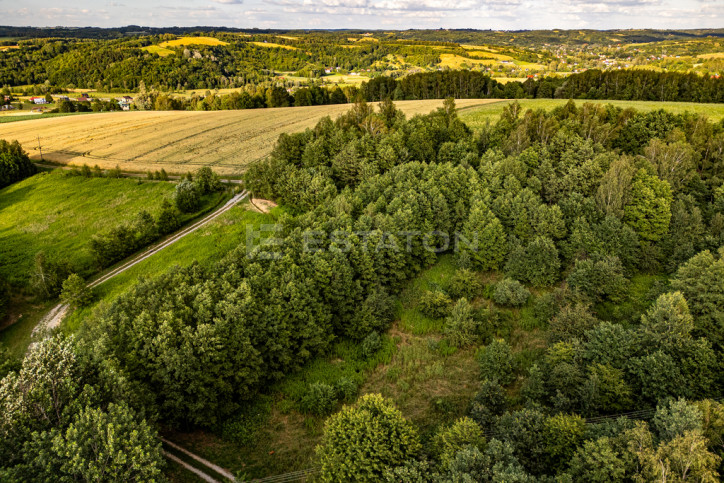 Działka Sprzedaż Nowy Borek 8