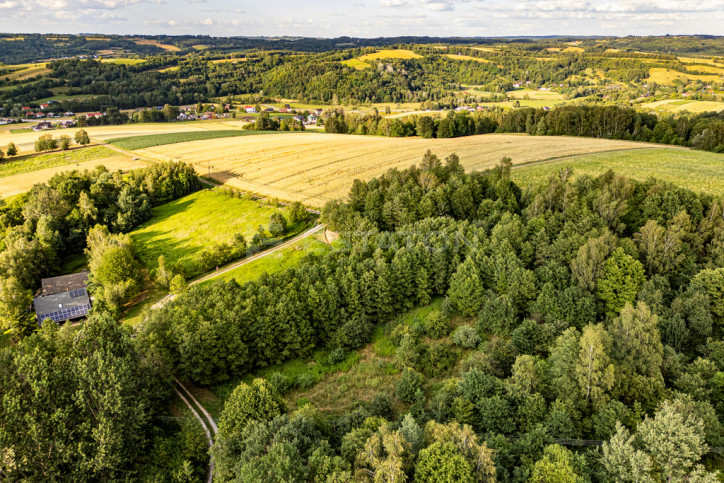 Działka Sprzedaż Nowy Borek 9