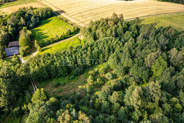 Działka Sprzedaż Nowy Borek 10