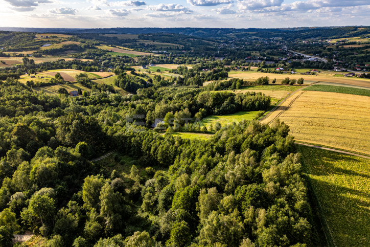 Działka Sprzedaż Nowy Borek 11