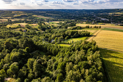 Działka Sprzedaż Nowy Borek