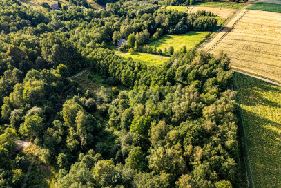 Działka Sprzedaż Nowy Borek