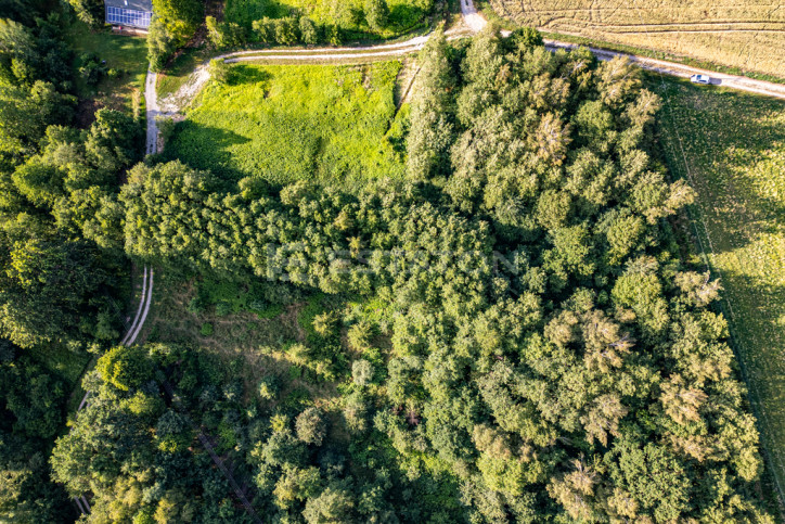 Działka Sprzedaż Nowy Borek 1