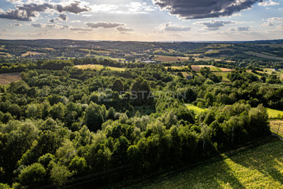 Działka Sprzedaż Nowy Borek