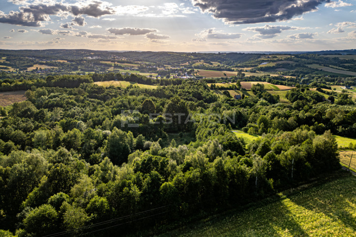 Działka Sprzedaż Nowy Borek 13